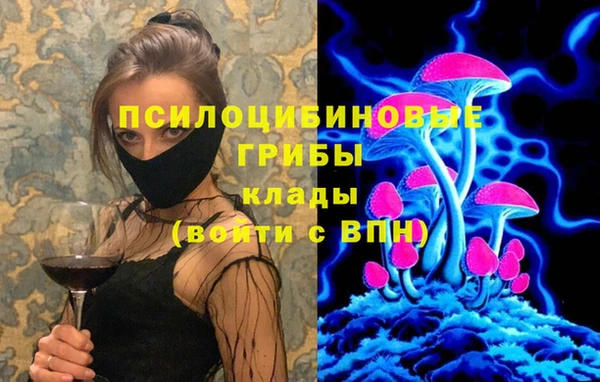 эйфоретик Бородино